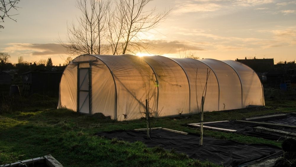 Allotment Tunnels