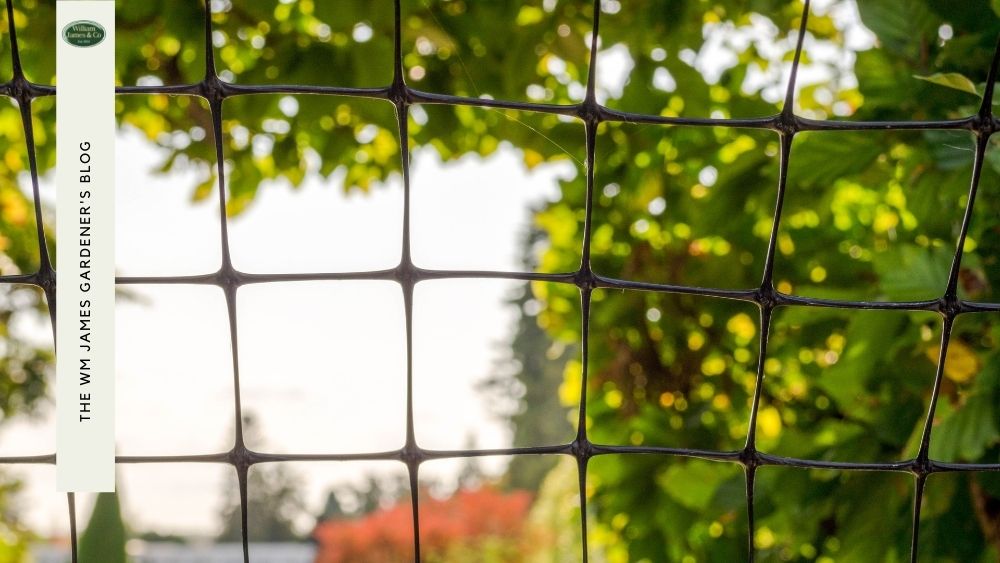 Mesh Garden Netting For Fruit & Vegetable Protection