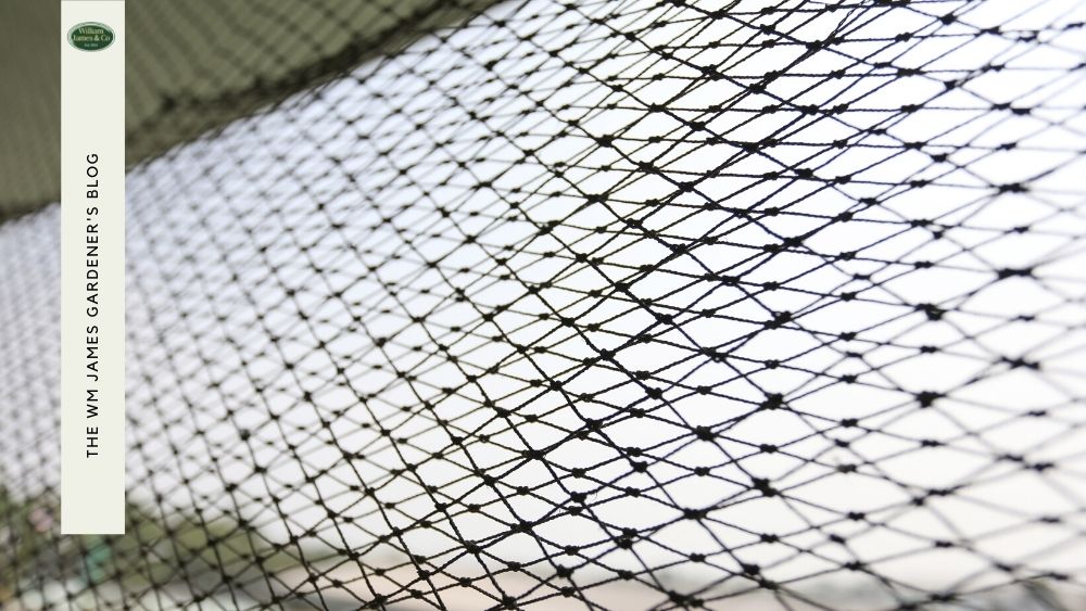 Our Guide to Choosing the Best Garden Netting Mesh for Your Project