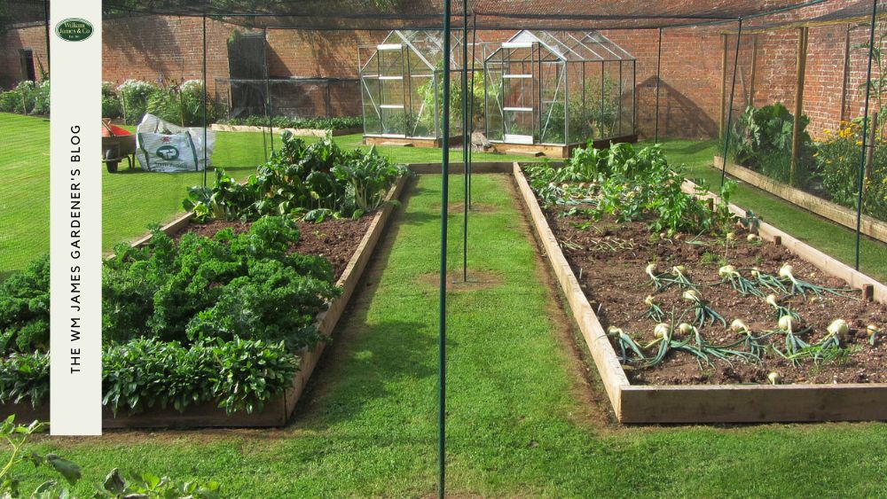 The Ultimate Guide to Growing Root Vegetables: Tips & Tricks for a Successful Harvest