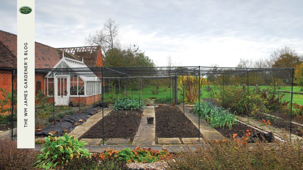 10 Tips on How to Make Your Garden More Inviting This Summer