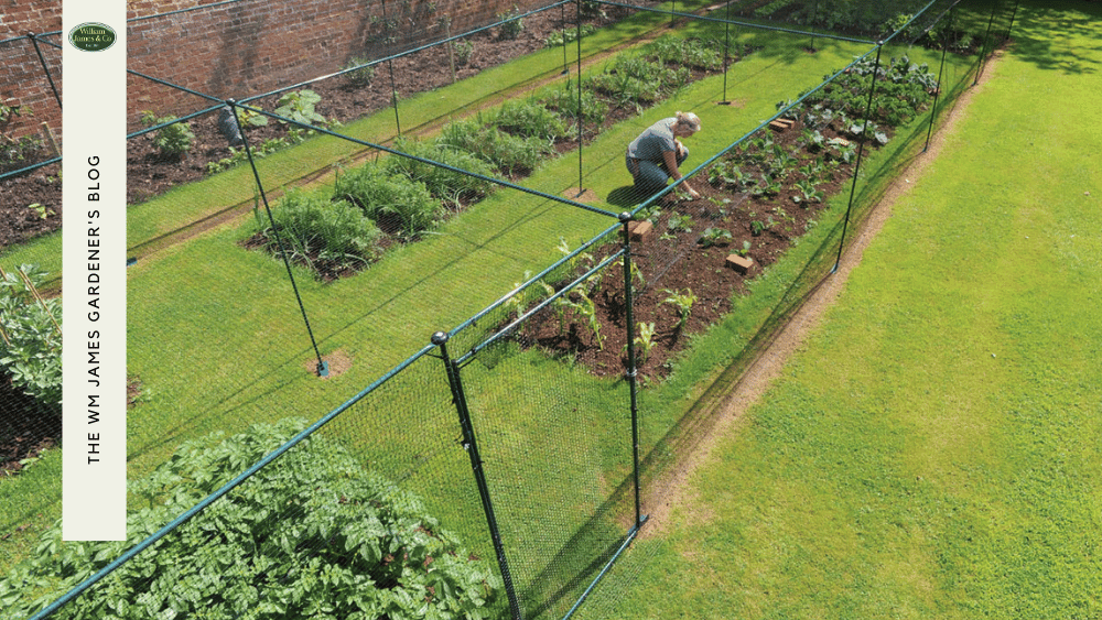 Top 10 Gardening Jobs for March: 2025 Edition