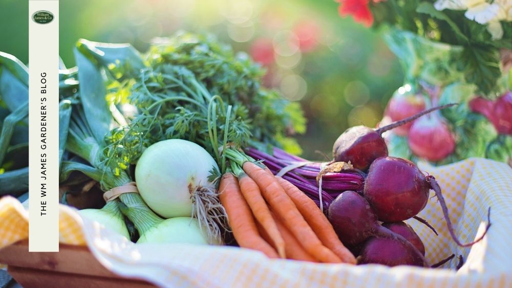 8 Vegetables To Plant In February With Growing Tips