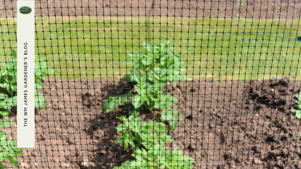 How to Use Fence Netting to Protect Your Plants