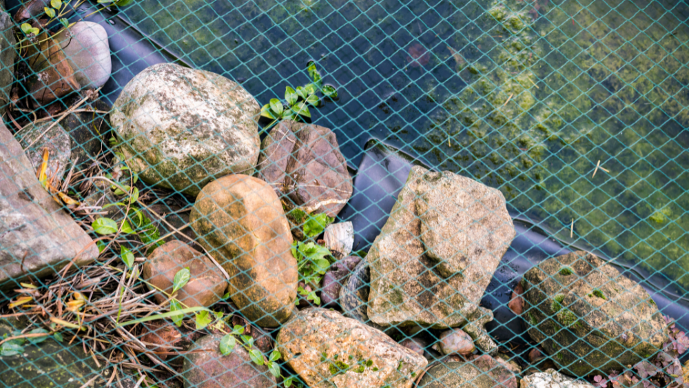 high quality pond netting