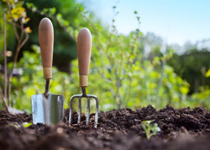 Modern Gifts For Gardeners