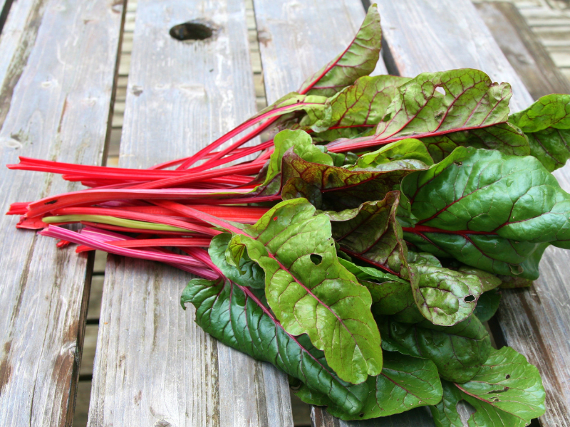 Swiss Chard
