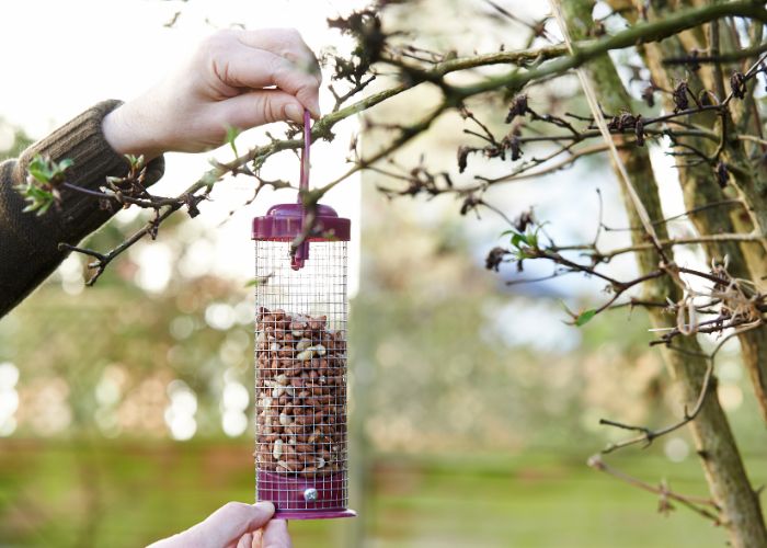 Taking down bird feeder in the garden