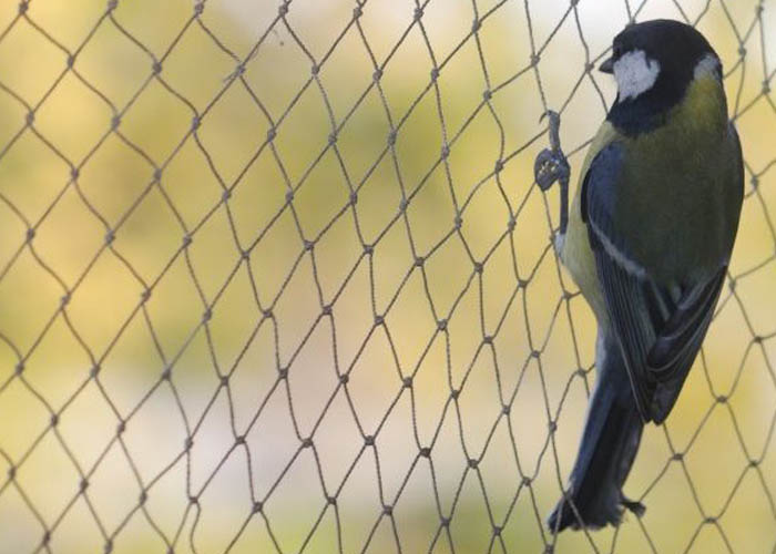 best anti-bird netting