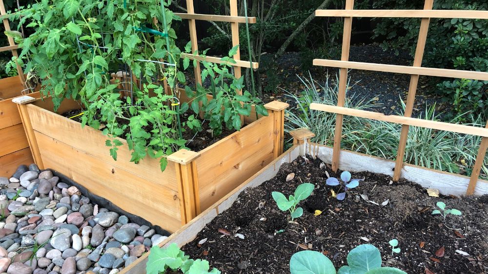 garden terrace planter