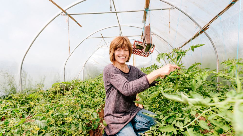 small garden polytunnels