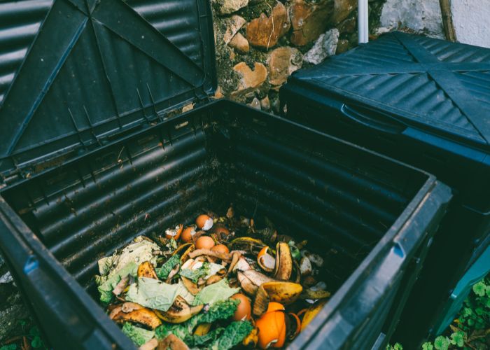 Compost in the garden