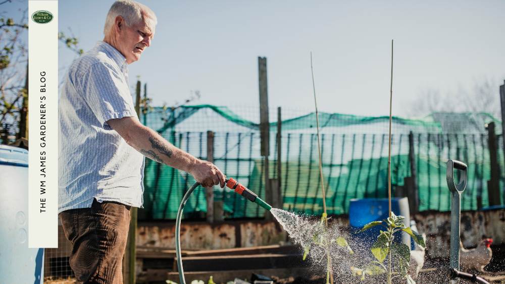 Man in allotment
