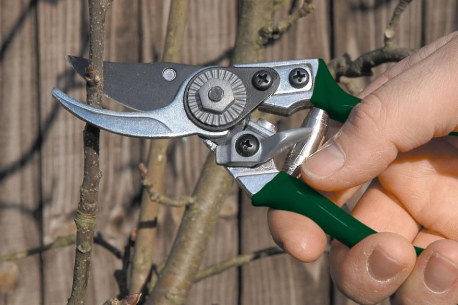 pocket pruners