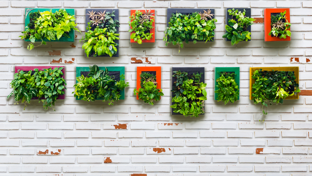 vertical garden